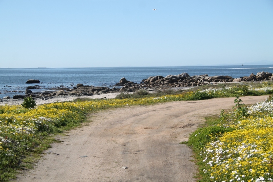 0 Bedroom Property for Sale in Harbour Heights Western Cape